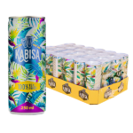 KABISA Jook 100% REAL ENERGY 24x250ML