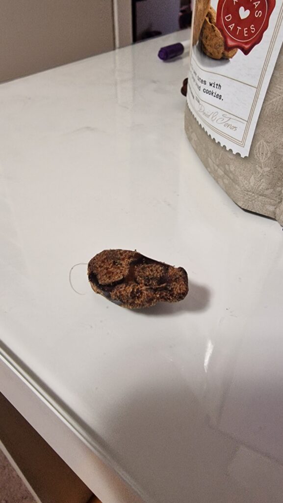 Image #1 from kairiq tamm